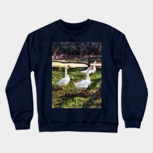 Geese - Three White Geese Crewneck Sweatshirt